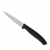 Skrellknivsett Quttin Basic 6 Deler 19,5 x 2 x 1 cm (12 enheter)