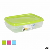 Porta pranzo Ermetico Quid Greenery Trasparente Plastica 4,7 L (4 Unità)  (Pack 4x)Quid