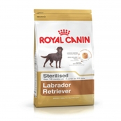 Labrador royal canin outlet junior