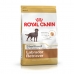 Foder Royal Canin Labrador Retriever Sterilised 12 kg Voksen Majs Fugle 20-40 Kg