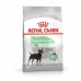 Píce Royal Canin Mini Digestive Dospělý Ptáci 1 kg