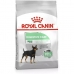 Fodder Royal Canin Mini Digestive Adult Chicken Birds 1 kg