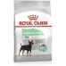Pašarai Royal Canin Mini Digestive Suaugęs Paukščiai 1 kg