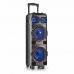 Динамики NGS WILD DUB 1 Чёрный 300 W 300W