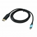 Adapter USB C naar DisplayPort i-Tec C31CBLDP60HZ2M 2 m 4K Ultra HD