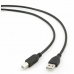 Kabel USB A v USB B GEMBIRD CCP-USB2-AMBM-10 3 m Črna
