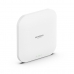 Punto de Acceso Netgear WAX620-100EUS Blanco