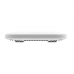 Punto de Acceso Netgear WAX620-100EUS Blanco