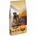 Fôr Purina Voksen Kylling 10 kg