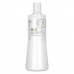 Ossidante Capelli Wella Blondor Freelights 6% 20 vol 1 L