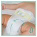 Pieluchy jednorazowe Pampers 5 (148 Sztuk)