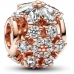 Charm Damă Pandora SPARKLING HERBARIUM CLUSTER ROUND