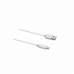 Kabel USB A naar USB C DCU 30402065