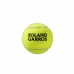 Bolas de Ténis Wilson Roland Garros All Court Amarelo