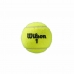 Тенис Топки Wilson Roland Garros All Court Жълт