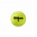 Teniso kamuoliai Wilson Roland Garros All Court Geltona