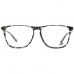 Briļļu ietvars WEB EYEWEAR WE5286 55055