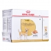 Comida húmeda Royal Canin Chihuahua Adult 85 g