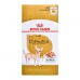 Kostea ruoka Royal Canin Chihuahua Adult 85 g