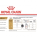 Alimentation humide Royal Canin Chihuahua Adult 85 g