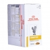 Корм для котов Royal Canin Feline Urinary S/O Moderate Calorie 85 g