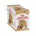 Alimentation humide Royal Canin                                 Viande 12 x 85 g