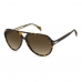 Herrensonnenbrille David Beckham S Habana ø 60 mm