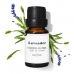 Ätherisches Öl Lavander Daffoil Aceite Esencial 10 ml