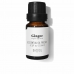 Eterinis aliejus Daffoil   Imbieras 10 ml