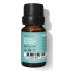 Esencijalno ulje Daffoil Thyme timijan 10 ml