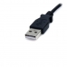 USB laidas M Startech USB2TYPEM