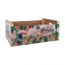 Aufbewahrungsbox Confortime Paradise Holz (58 x 39 x 21 cm)