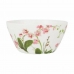 Bolle Alfares Orchid 15 x 8 cm (24 enheter)