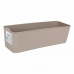 Organizér Confortime Jano 27 x 9 x 7,5 cm (36 Kusov) (27 x 9 x 7,5 cm)