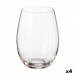 Glasset Bohemia Crystal Clara 560 ml Glas 6 Delar (4 antal)