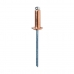 Rivets Rapid 5001467 Spindle Ø 4,8 x 12 mm Copper Aluminium (50 Units)