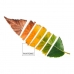 Nordic tok Leaf Pantone