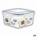 Lunchbox hermetisch Dem 500 ml (12 Stück)