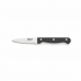 Schälmesser Richardson Sheffield Artisan Schwarz Metall 9 cm (Pack 6x)