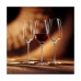 Champagneglas Chef & Sommelier 6 antal Transparent Glas (21 cl)