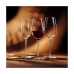 Coupe de champagne Chef & Sommelier 6 Unités Transparent verre (21 cl)