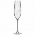 Pahar de șampanie Bohemia Crystal Optic Transparent Sticlă 260 ml (6 Unități)