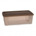 Æske med låg Stefanplast Elegance 19,5 x 11,5 x 33 cm Beige 5 L