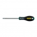 Chave de Parafusos Stanley Torx TX25 x 100 mm