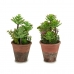 Decoratieve plant Plastic