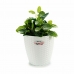 Planter Stefanplast Hvit Plast 24 x 22,5 x 24 cm (6 enheter)