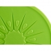 Pain de glace Kiwi 250 ml 17,5 x 1,5 x 17,5 cm (24 Unités)