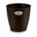 Planter Stefanplast Plast 24 x 22 x 24 cm (6 enheter)