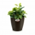 Planter Stefanplast Plast 24 x 22 x 24 cm (6 enheter)