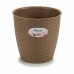 Planter Stefanplast Brun Plast 19 x 17,5 x 19 cm (12 enheter)